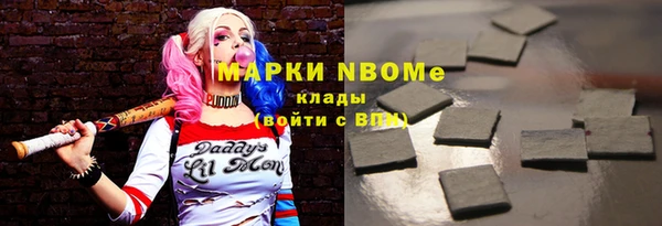 хмурый Бородино