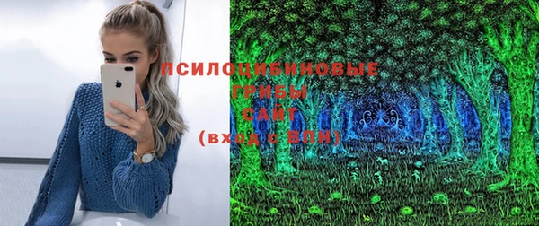 2c-b Бронницы