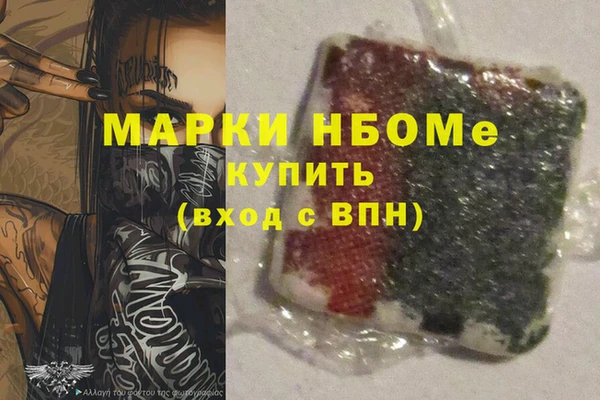 хмурый Бородино