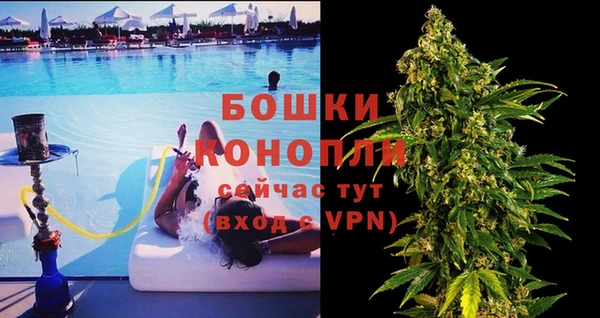 хмурый Бородино