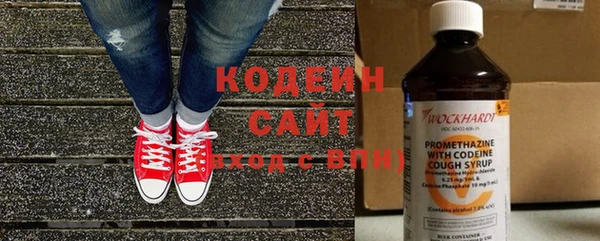 хмурый Бородино