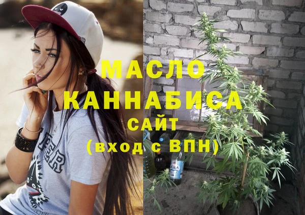 хмурый Бородино