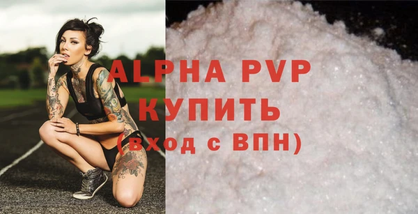хмурый Бородино