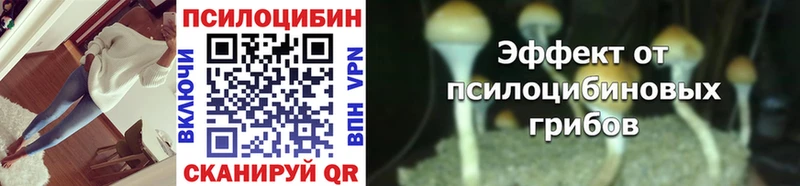 Галлюциногенные грибы Psilocybine cubensis  Нижний Новгород 